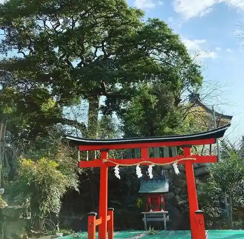 難波大社　生國魂神社の鳥居
