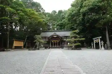 春日神社(小野原鎮座)の本殿・本堂