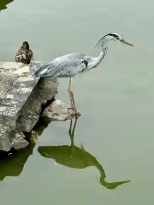 東寺（教王護国寺）(京都府)