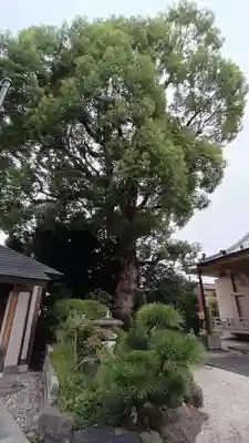 西方院の庭園