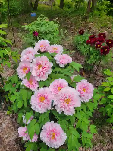 隆国寺(兵庫県)
