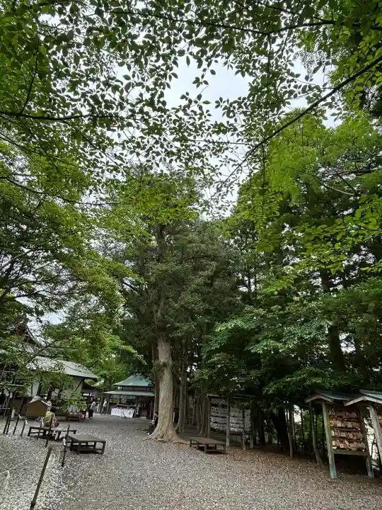 玉前神社の{uncategorized: "未分類", other: "その他", undefined: "問題あり", building: "その他建物", grave: "お墓", sacred_gate: "鳥居", guardian: "狛犬", statue: "像", buddha: "仏像", history: "歴史", nature: "自然", garden: "庭園", animal: "動物", pagoda: "塔", temizu: "手水舎", mountain_gate: "山門・神門", sanctuary: "本殿・本堂", subordinate: "末社・摂社", art: "芸術", scenery: "景色", jizo: "地蔵", ema: "絵馬", goshuin: "御朱印", omikuji: "おみくじ", items: "授与品その他", amulet: "お守り", goshuincho: "御朱印帳", eats: "食事", festival: "お祭り", votive_dance: "神楽", shichigosan: "七五三参", wedding: "結婚式", experience: "体験その他", initially: "初詣", around: "周辺", anti_infection: "感染症対策"}