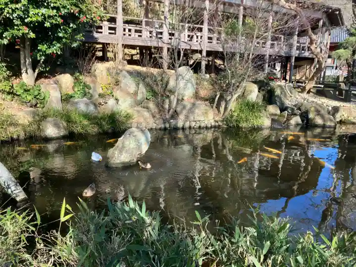 楽法寺(雨引観音)の{uncategorized: "未分類", other: "その他", undefined: "問題あり", building: "その他建物", grave: "お墓", sacred_gate: "鳥居", guardian: "狛犬", statue: "像", buddha: "仏像", history: "歴史", nature: "自然", garden: "庭園", animal: "動物", pagoda: "塔", temizu: "手水舎", mountain_gate: "山門・神門", sanctuary: "本殿・本堂", subordinate: "末社・摂社", art: "芸術", scenery: "景色", jizo: "地蔵", ema: "絵馬", goshuin: "御朱印", omikuji: "おみくじ", items: "授与品その他", amulet: "お守り", goshuincho: "御朱印帳", eats: "食事", festival: "お祭り", votive_dance: "神楽", shichigosan: "七五三参", wedding: "結婚式", experience: "体験その他", initially: "初詣", around: "周辺", anti_infection: "感染症対策"}