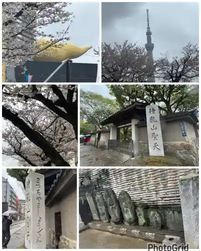 待乳山聖天（本龍院）の{uncategorized: "未分類", other: "その他", undefined: "問題あり", building: "その他建物", grave: "お墓", sacred_gate: "鳥居", guardian: "狛犬", statue: "像", buddha: "仏像", history: "歴史", nature: "自然", garden: "庭園", animal: "動物", pagoda: "塔", temizu: "手水舎", mountain_gate: "山門・神門", sanctuary: "本殿・本堂", subordinate: "末社・摂社", art: "芸術", scenery: "景色", jizo: "地蔵", ema: "絵馬", goshuin: "御朱印", omikuji: "おみくじ", items: "授与品その他", amulet: "お守り", goshuincho: "御朱印帳", eats: "食事", festival: "お祭り", votive_dance: "神楽", shichigosan: "七五三参", wedding: "結婚式", experience: "体験その他", initially: "初詣", around: "周辺", anti_infection: "感染症対策"}