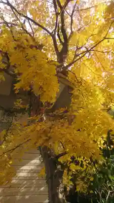 八重垣神社(島根県)