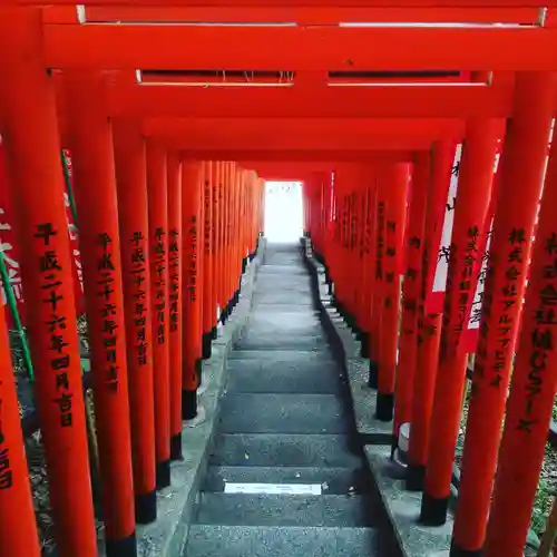 日枝神社の鳥居