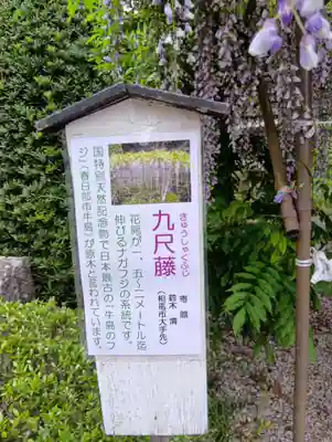 涼ケ岡八幡神社(福島県)