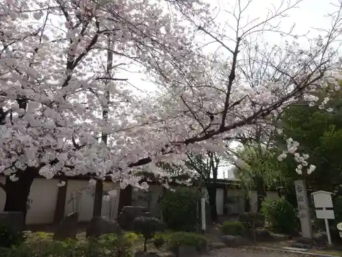 真宗大谷派名古屋別院(愛知県)