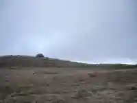 箱根元宮の周辺