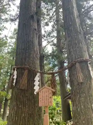 大崎八幡宮(宮城県)