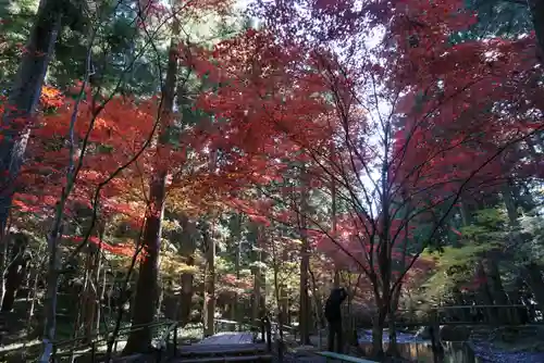 小國神社の自然