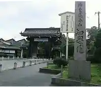 知恩院(京都府)
