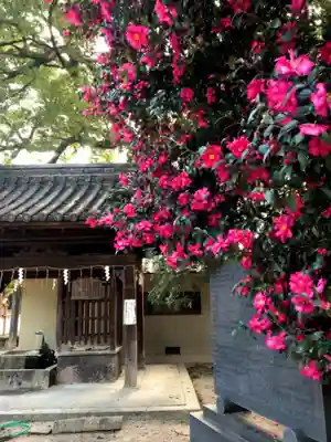 藤森神社のその他建物