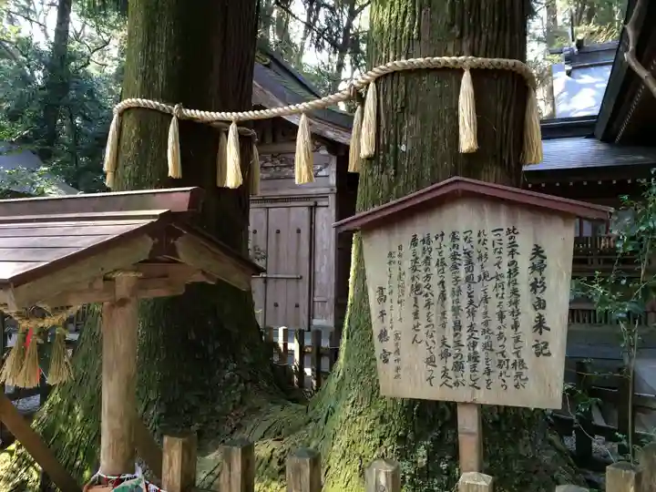 高千穂神社(宮崎県)