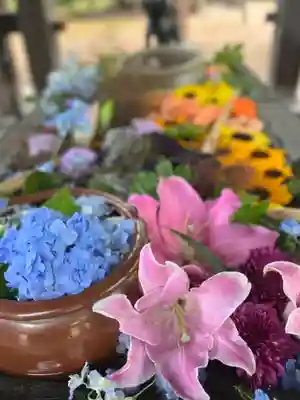 札幌護國神社の手水舎