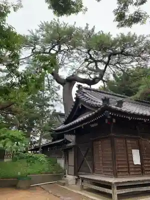 葛飾神社(千葉県)