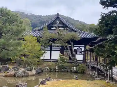 高台寺（高台寿聖禅寺・高臺寺）(京都府)