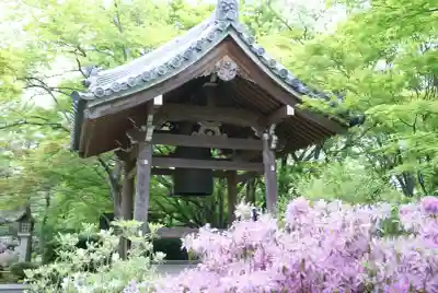 常寂光寺(京都府)