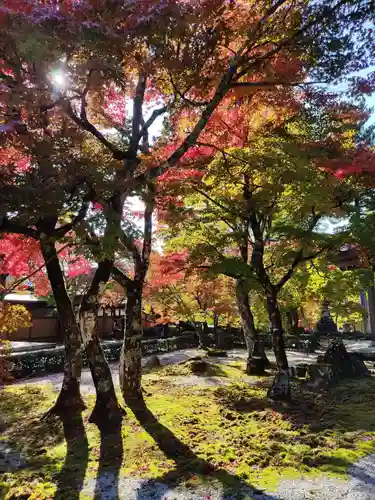 永源寺の庭園