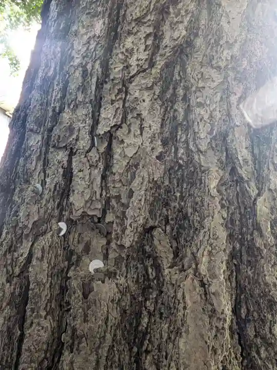 回向院(東京都)