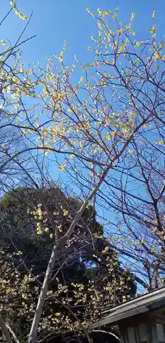 検見川神社のその他建物