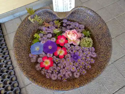 美瑛神社の手水舎