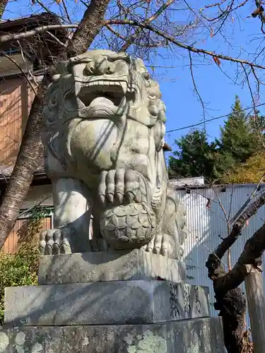 冨士御室浅間神社の狛犬