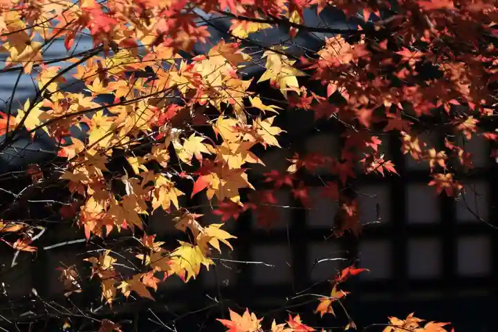 鹿島大神宮の自然