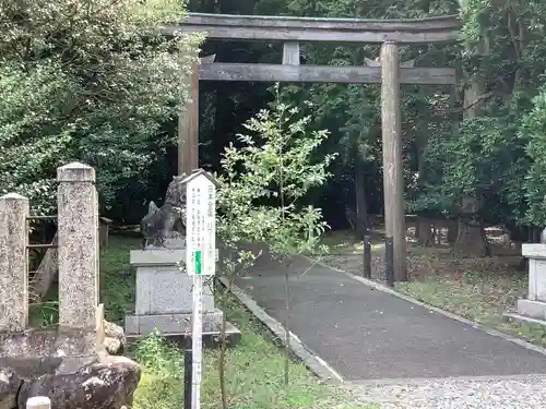 若狭彦神社（上社）の鳥居