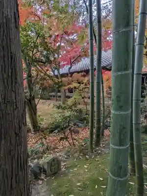 最勝寺(茨城県)