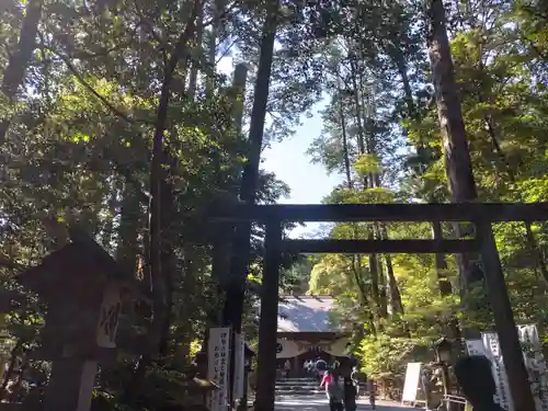 椿大神社の鳥居