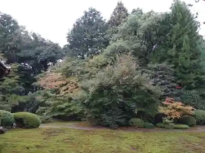 隨心院(随心院)(京都府)