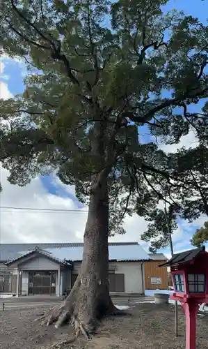都波岐奈加等神社(三重県)