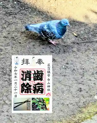 『歯病消除』御朱印