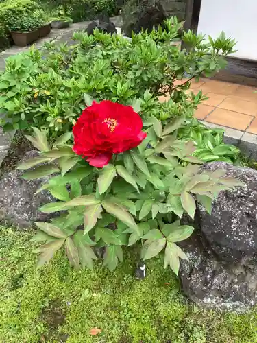 薬王寺(神奈川県)