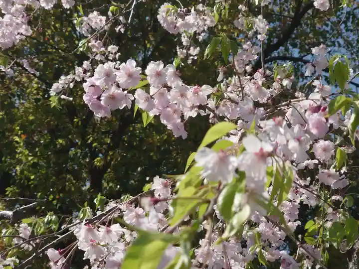 長善寺(神奈川県)