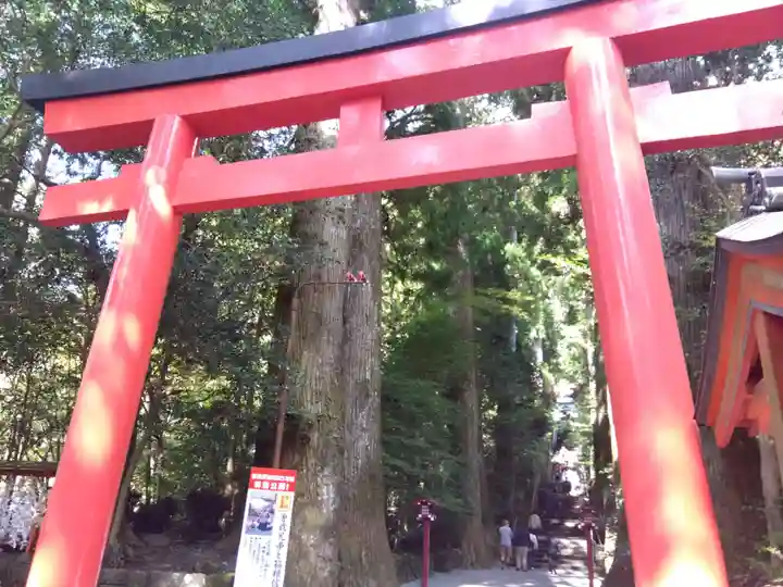 箱根神社(神奈川県)