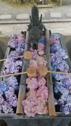 柳谷観音　楊谷寺の手水舎