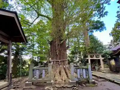 伊達神社の{uncategorized: "未分類", other: "その他", undefined: "問題あり", building: "その他建物", grave: "お墓", sacred_gate: "鳥居", guardian: "狛犬", statue: "像", buddha: "仏像", history: "歴史", nature: "自然", garden: "庭園", animal: "動物", pagoda: "塔", temizu: "手水舎", mountain_gate: "山門・神門", sanctuary: "本殿・本堂", subordinate: "末社・摂社", art: "芸術", scenery: "景色", jizo: "地蔵", ema: "絵馬", goshuin: "御朱印", omikuji: "おみくじ", items: "授与品その他", amulet: "お守り", goshuincho: "御朱印帳", eats: "食事", festival: "お祭り", votive_dance: "神楽", shichigosan: "七五三参", wedding: "結婚式", experience: "体験その他", initially: "初詣", around: "周辺", anti_infection: "感染症対策"}