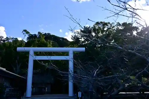 安房神社の鳥居