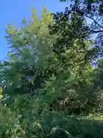 西明寺(千葉県)