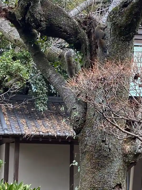 江島神社(神奈川県)