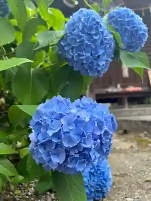 手力雄神社(岐阜県)