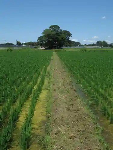 神明神社(千葉県)