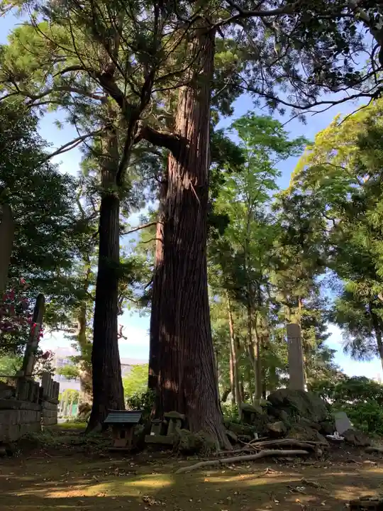 駒形神社(千葉県)