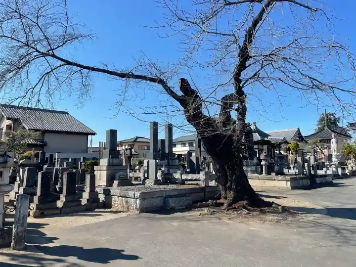 延命寺の{uncategorized: "未分類", other: "その他", undefined: "問題あり", building: "その他建物", grave: "お墓", sacred_gate: "鳥居", guardian: "狛犬", statue: "像", buddha: "仏像", history: "歴史", nature: "自然", garden: "庭園", animal: "動物", pagoda: "塔", temizu: "手水舎", mountain_gate: "山門・神門", sanctuary: "本殿・本堂", subordinate: "末社・摂社", art: "芸術", scenery: "景色", jizo: "地蔵", ema: "絵馬", goshuin: "御朱印", omikuji: "おみくじ", items: "授与品その他", amulet: "お守り", goshuincho: "御朱印帳", eats: "食事", festival: "お祭り", votive_dance: "神楽", shichigosan: "七五三参", wedding: "結婚式", experience: "体験その他", initially: "初詣", around: "周辺", anti_infection: "感染症対策"}