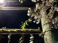 山家神社の自然