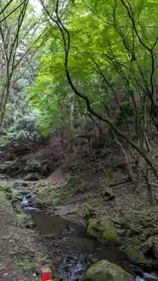 法嚴寺(法厳寺)(京都府)