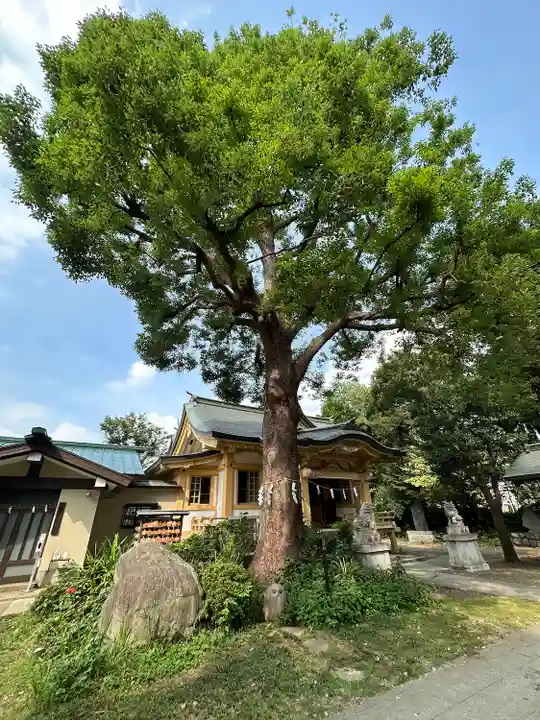 若宮神社(東京都)
