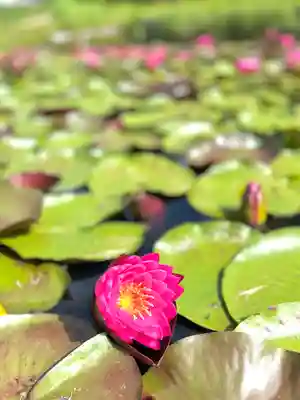 倶梨迦羅神社(長野県)